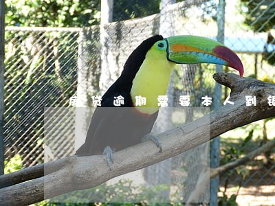 房贷逾期需要本人到银行处理吗 房贷逾期需要本人到银行处理吗