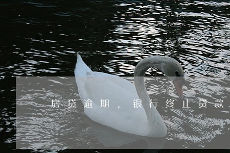 房贷逾期，银行终止贷款
