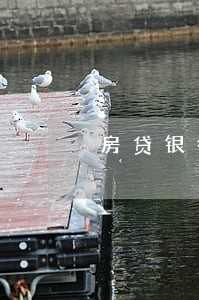 房贷银行贷款征信有逾期怎么办 房贷银行贷款征信有逾期怎么办
