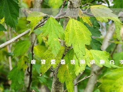 房贷需要信用逾期几次不能带