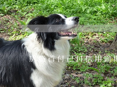 房贷首付已付信用逾期可以更名 房贷首付已付信用逾期可以更名