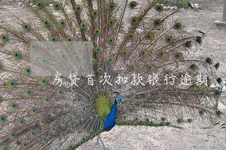 房贷首次扣款银行逾期 房贷首次扣款银行逾期
