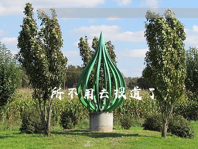 所不用去报道了 所不用去报道了