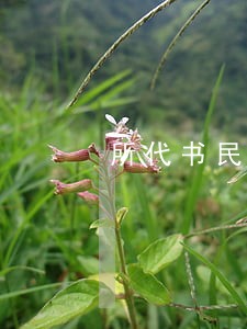 所代书民事起诉状 所代书民事起诉状