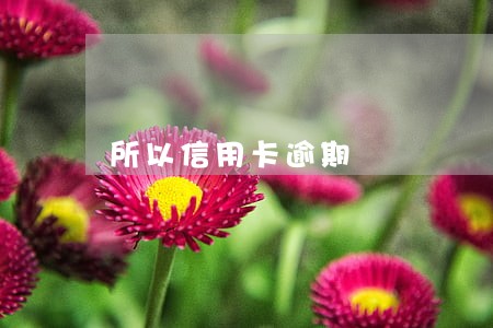 所以信用卡逾期
