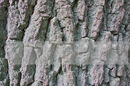 所以想问一下鞍山律师 所以想问一下鞍山律师