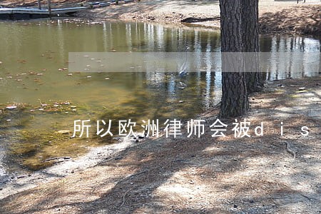 所以欧洲律师会被disbar吗 所以欧洲律师会被disbar吗