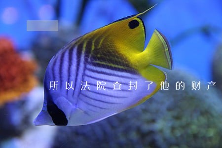 所以法院查封了他的财产 所以法院查封了他的财产
