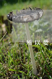 所以要用法律来保护自己 所以要用法律来保护自己