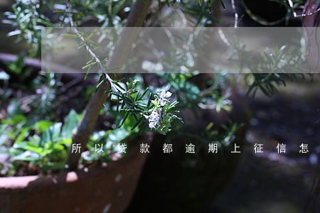 所以贷款都逾期上征信怎么办 所以贷款都逾期上征信怎么办