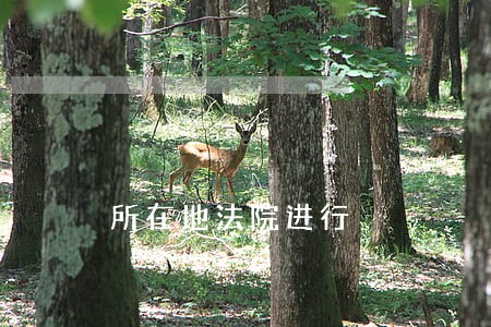 所在地法院进行 所在地法院进行
