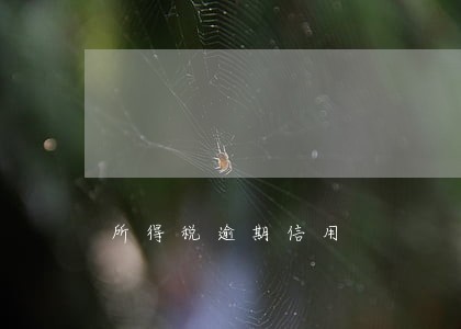 所得税逾期信用 所得税逾期信用