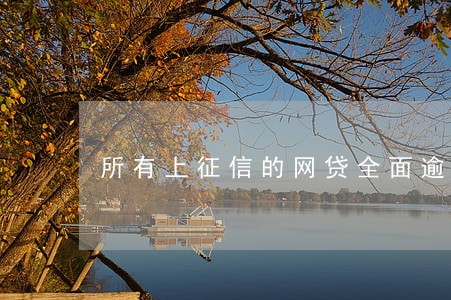 所有上征信的网贷全面逾期 所有上征信的网贷全面逾期