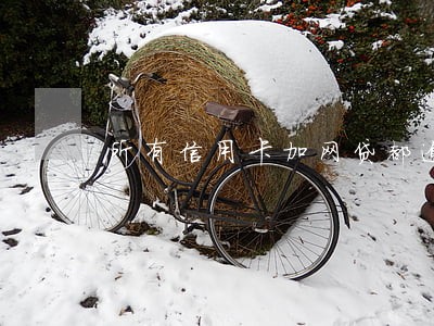 所有信用卡加网贷都逾期了