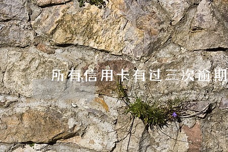 所有信用卡有过三次逾期 所有信用卡有过三次逾期