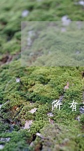 所有信用卡网贷逾期两个月 所有信用卡网贷逾期两个月