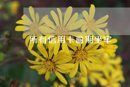 所有信用卡逾期坐牢