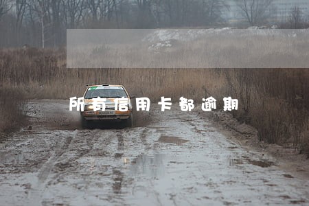 所有信用卡都逾期 所有信用卡都逾期