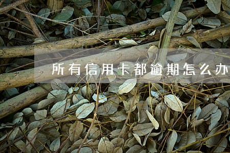 所有信用卡都逾期怎么办 所有信用卡都逾期怎么办