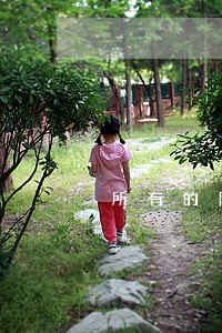 所有的网贷逾期 所有的网贷逾期