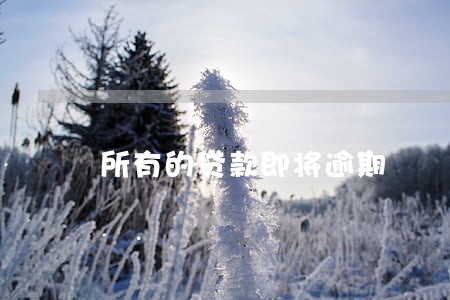 所有的贷款即将逾期 所有的贷款即将逾期