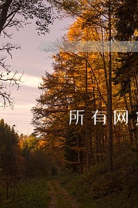 所有网贷信用卡都逾期了怎么办