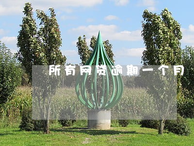 所有网贷逾期一个月 所有网贷逾期一个月