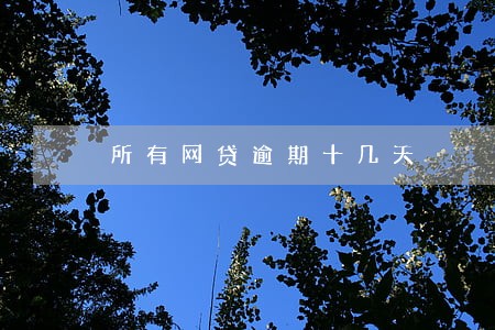 所有网贷逾期十几天