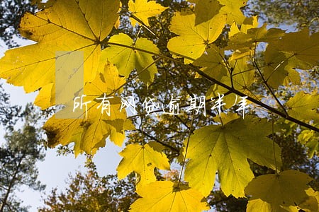 所有网贷逾期半年 所有网贷逾期半年