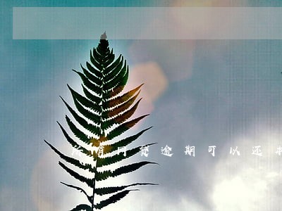 所有网贷逾期可以还本金吗 所有网贷逾期可以还本金吗