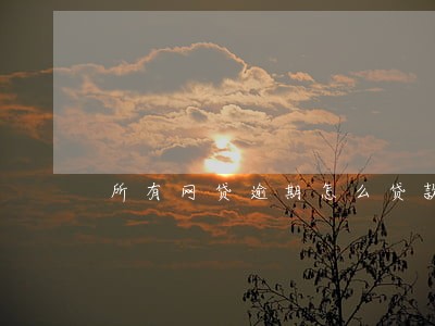 所有网贷逾期怎么贷款 所有网贷逾期怎么贷款