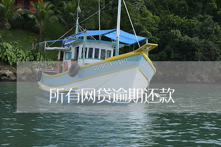 所有网贷逾期还款