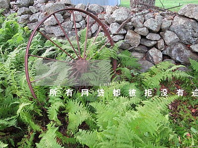 所有网贷都被拒没有逾期 所有网贷都被拒没有逾期