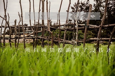 所有网贷都逾期了没钱还怎么办 所有网贷都逾期了没钱还怎么办