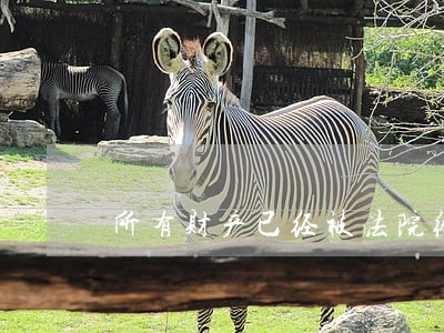 所有财产已经被法院给查封了 所有财产已经被法院给查封了