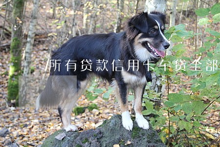 所有贷款信用卡车贷全部逾期 所有贷款信用卡车贷全部逾期