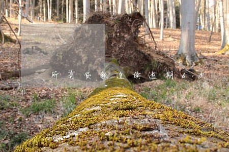 所有贷款连续逾期6次 所有贷款连续逾期6次