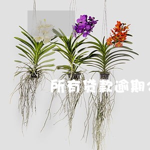 所有贷款逾期2年 所有贷款逾期2年