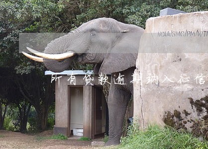 所有贷款逾期纳入征信 所有贷款逾期纳入征信