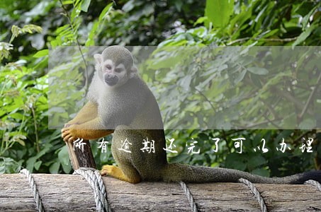 所有逾期还完了可以办理信用卡吗 所有逾期还完了可以办理信用卡吗