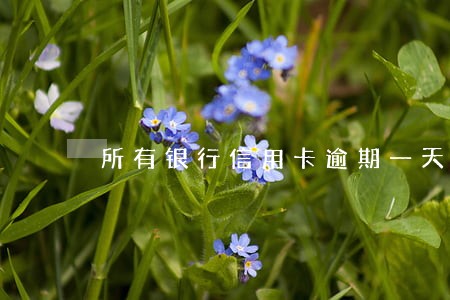 所有银行信用卡逾期一天上征信