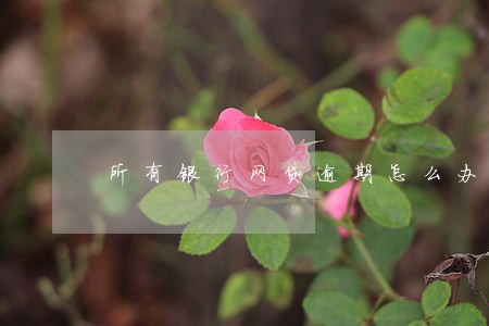 所有银行网贷逾期怎么办