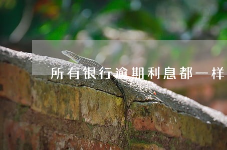 所有银行逾期利息都一样吗 所有银行逾期利息都一样吗