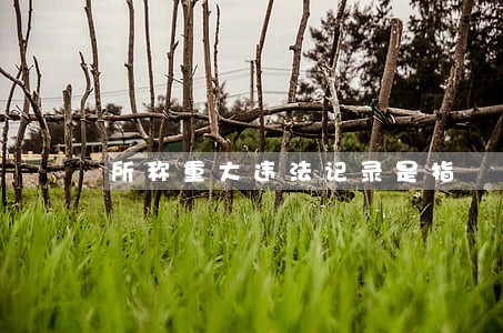 所称重大违法记录是指 所称重大违法记录是指