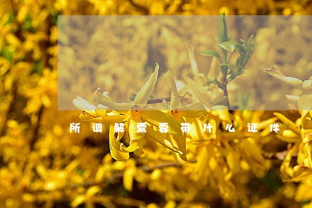 所调解需要带什么证件 所调解需要带什么证件