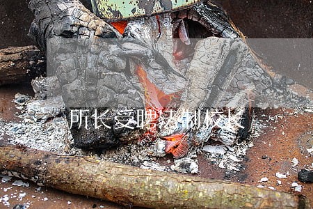 所长受聘法制校长 所长受聘法制校长