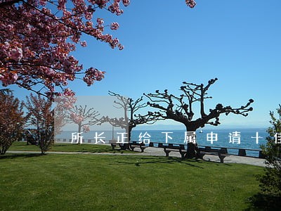 所长正给下属申请十佳律师荣誉 所长正给下属申请十佳律师荣誉