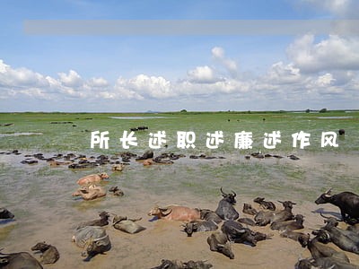 所长述职述廉述作风
