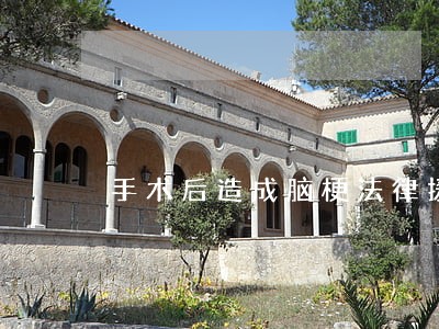 手术后造成脑梗法律援助 手术后造成脑梗法律援助