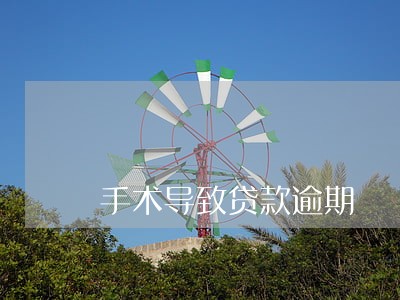 手术导致贷款逾期 手术导致贷款逾期
